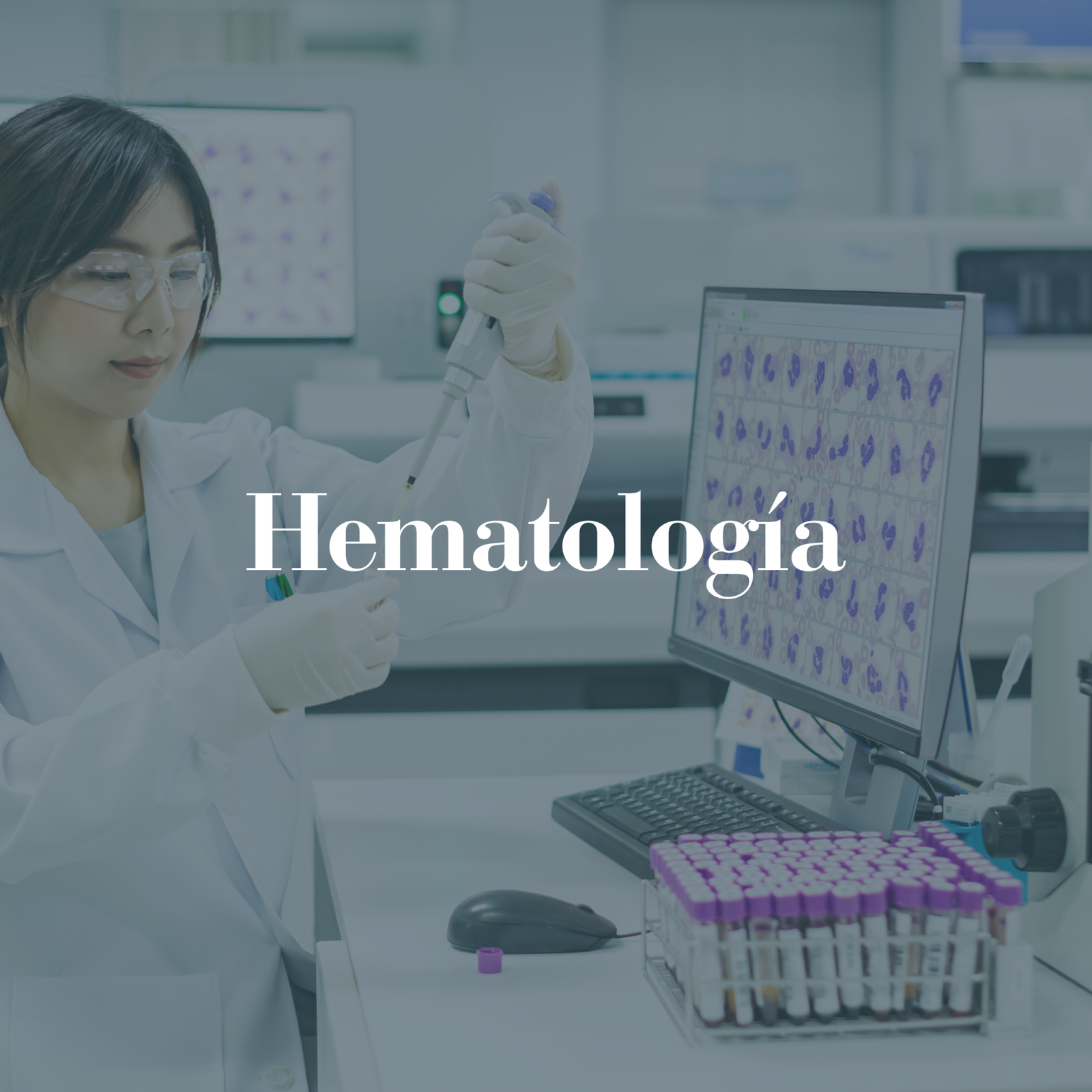 Hematología